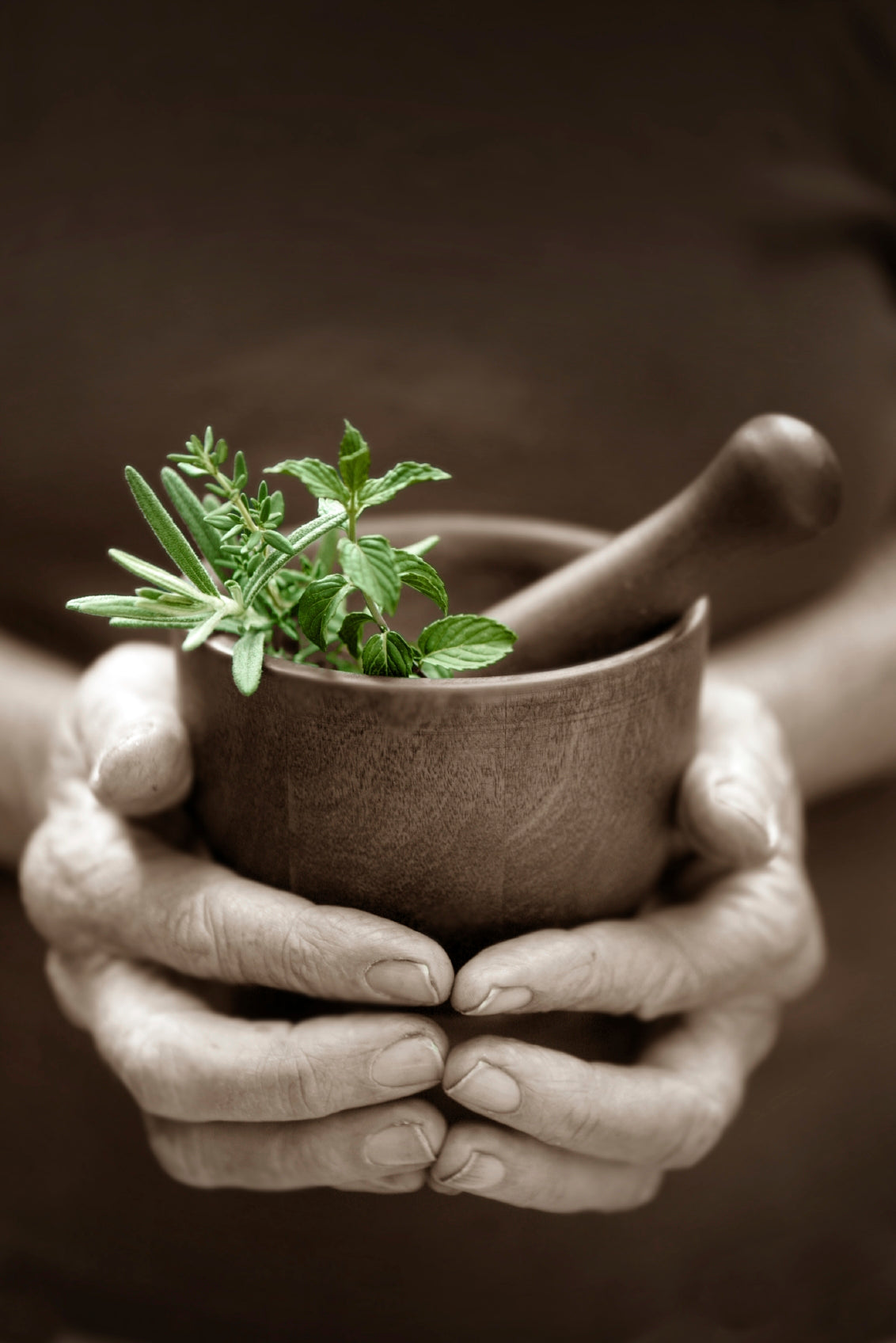 Herbs That Heal!