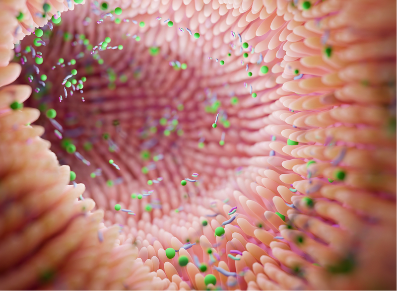 Restore Microbial Balance