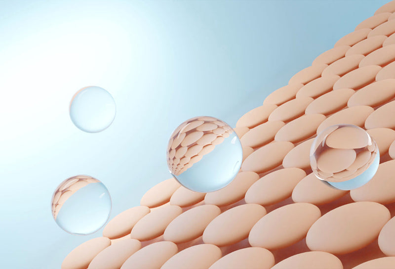 Rebuild Skin Barrier Integrity