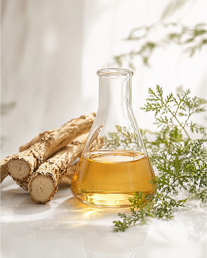 Angelica Sinensis Extract