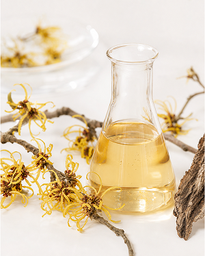 Witch Hazel Extract 
