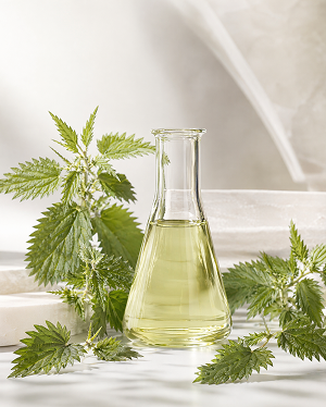 Nettle Extract