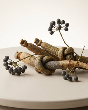 Siberian Ginseng