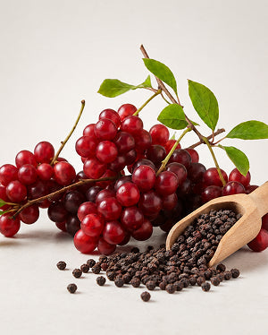 Schisandra Berries